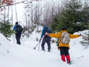 Himachal 1 4 Days Himachal Tour Package