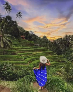 Explore Bali Eco Village and Rice Terraces - Bali Tour with Vimanam DMC