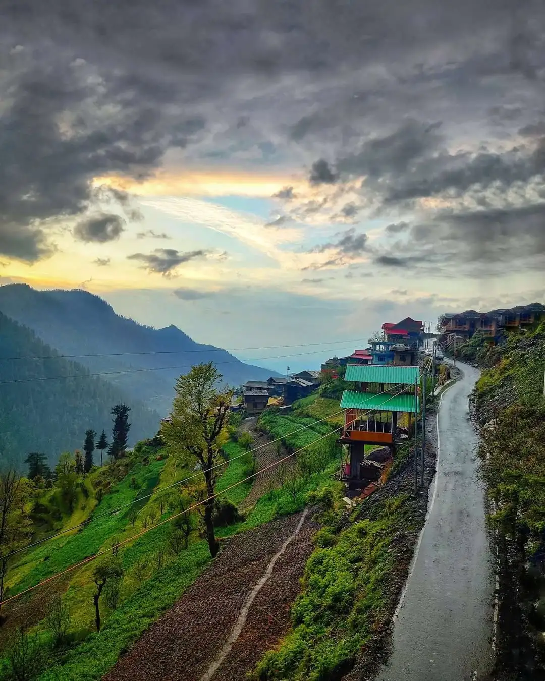 Shoja - Himachal Tour Package