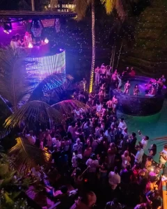Try Street Food and Nightlife - Bali Tour