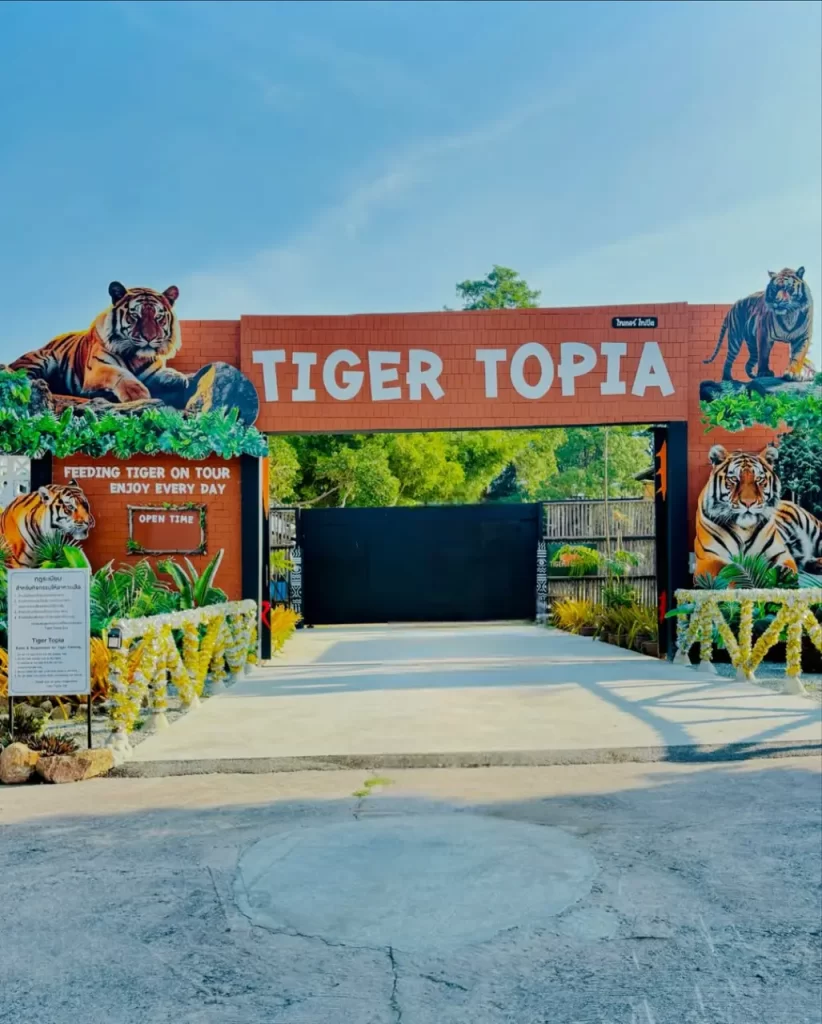 Thailand Tour Package - Tiger Topia