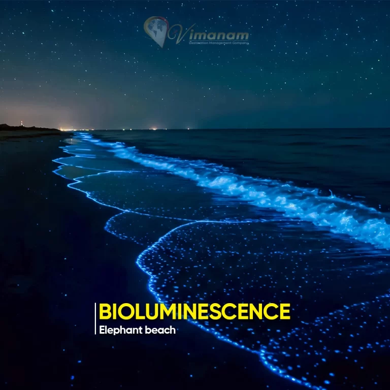 Elephant Beach in Andaman Tour Package