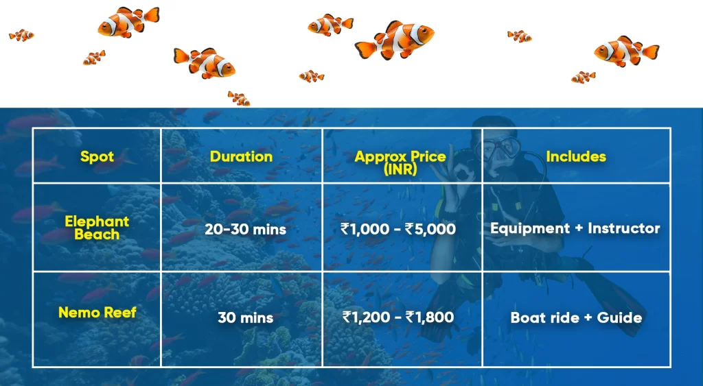 Snorkeling cost in Andaman Tour Package