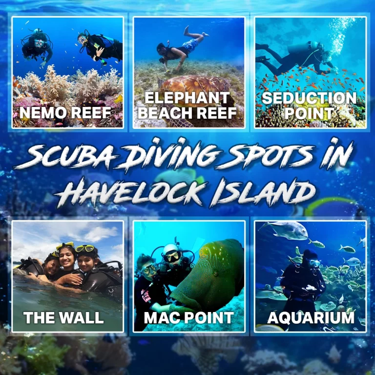 Scuba Diving in Andaman