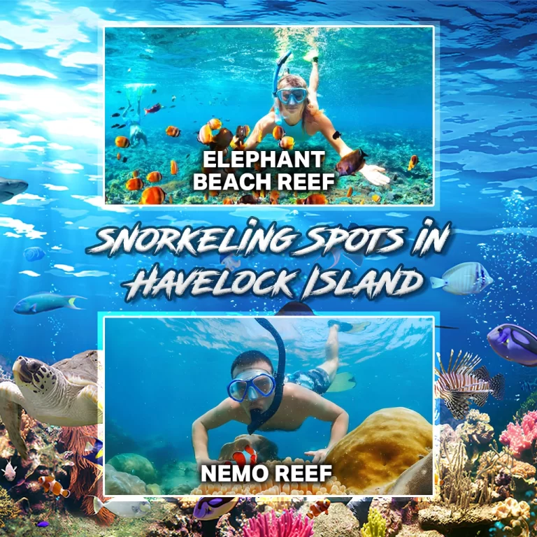 Snorkling in Andaman