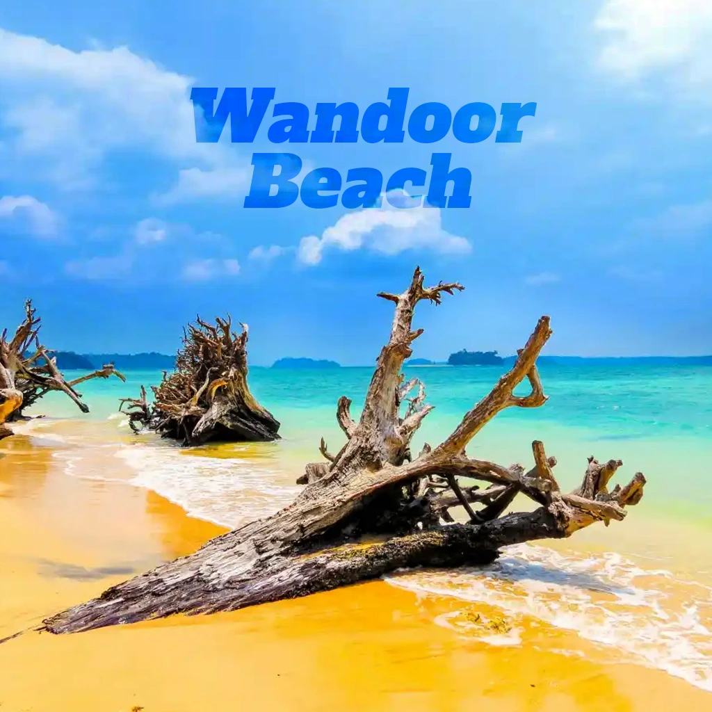 Wandoor Beach Visit | Andaman Tour Package from Port Blair